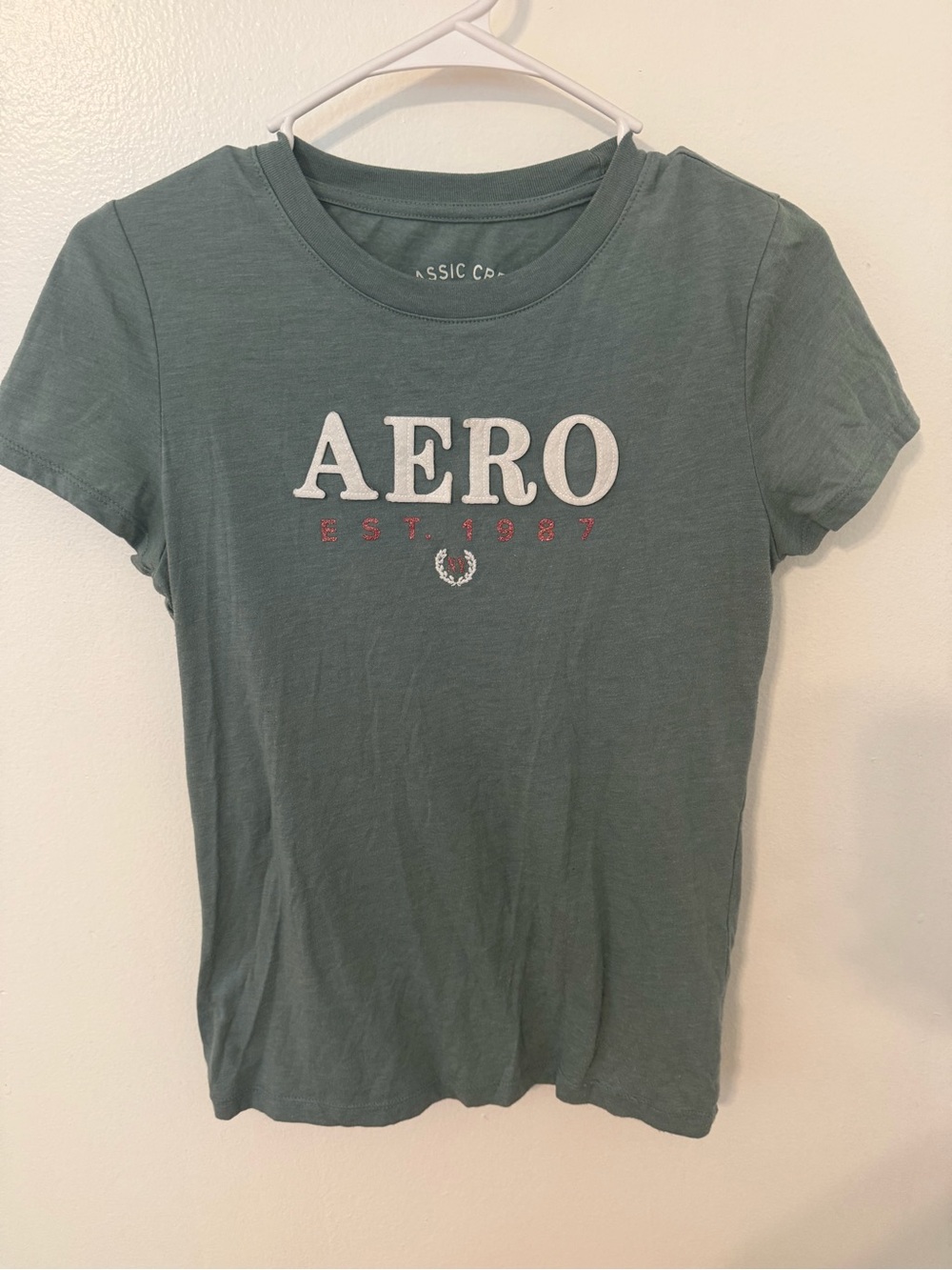 Aeropostale Classic Crew Tee in Sage Green with White Print
